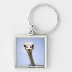 Ostrich Speak Keychain