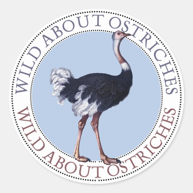 Ostrich Stickers (Front)