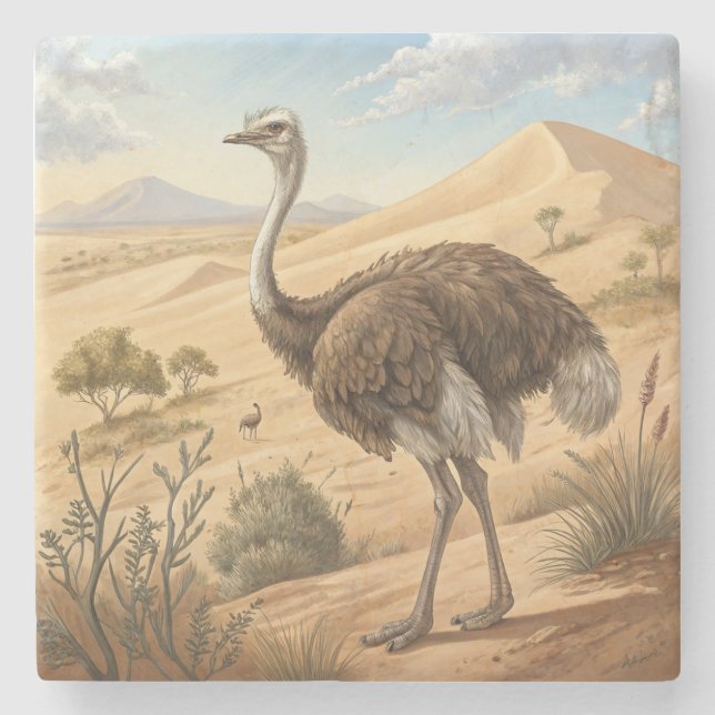 ostrich stone coaster (Front)