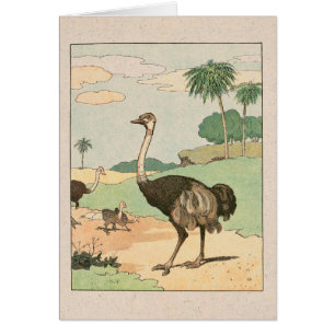 Ostrich Story Book Illustrated