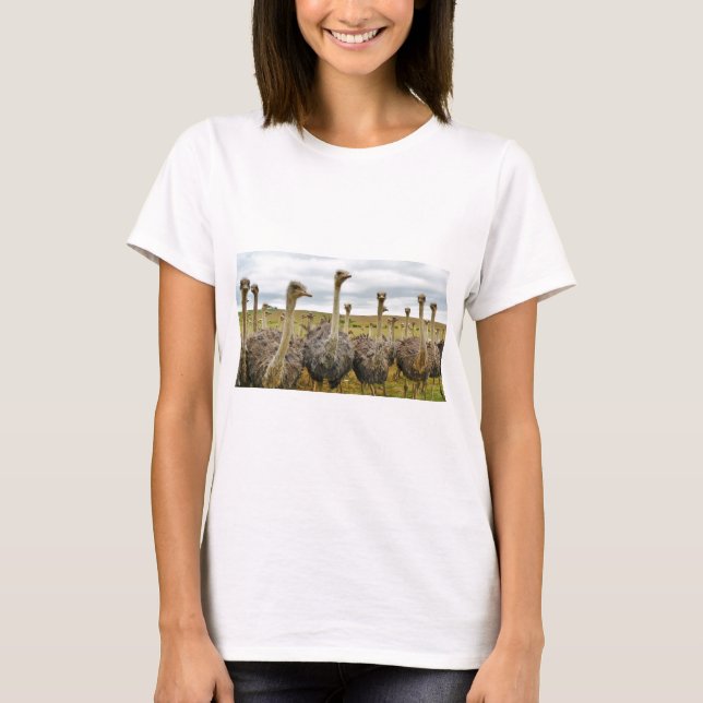 ostrich T-Shirt (Front)