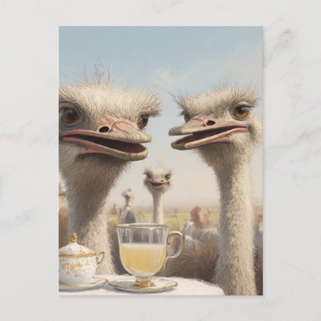 Ostrich Teatime Postcard (Front)