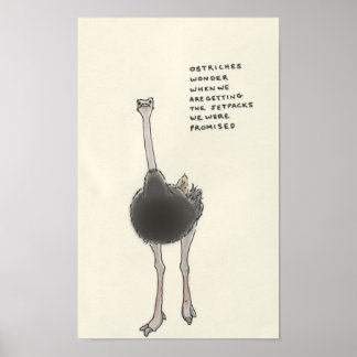 ostrich trivia poster
