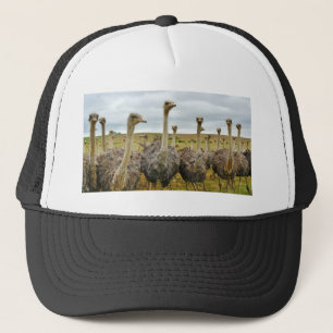 ostrich trucker hat