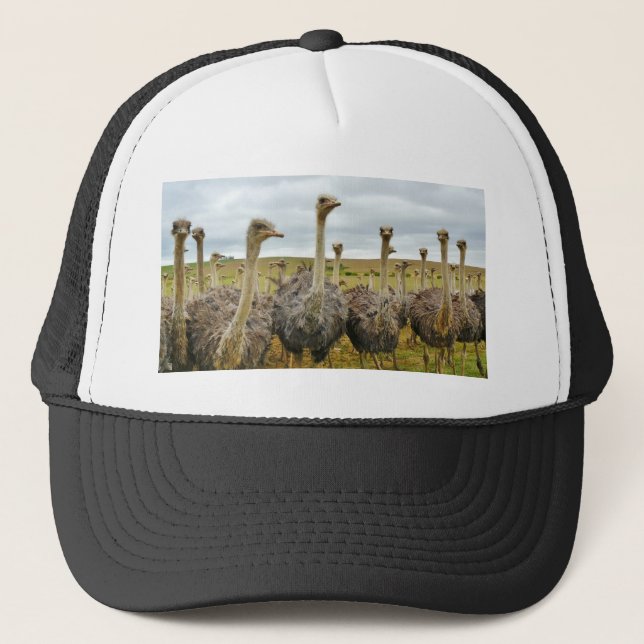 ostrich trucker hat (Front)