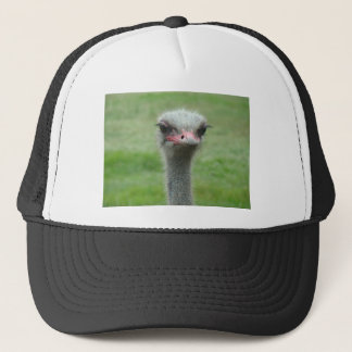 Ostrich Trucker Hat