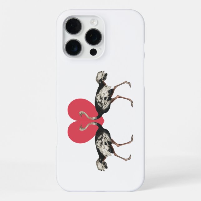 Ostrich Valentines Day iPhone Case (Back)