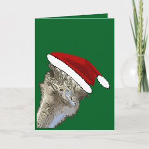 Ostrich Wearing Santa Hat Christmas Zoo Animal Holiday Card