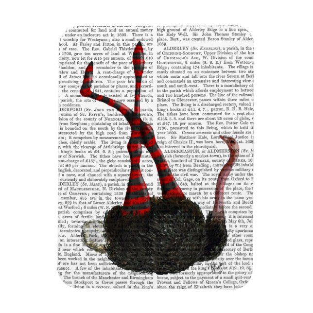 Ostrich with Striped Leggings Magnet (Vertical)