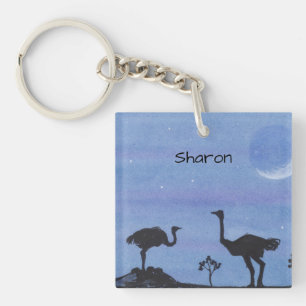 Ostriches