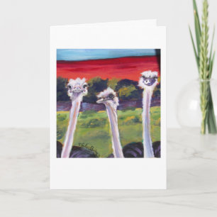 Ostriches Greeting Card, Reads "Just Thinkin of Ya Card