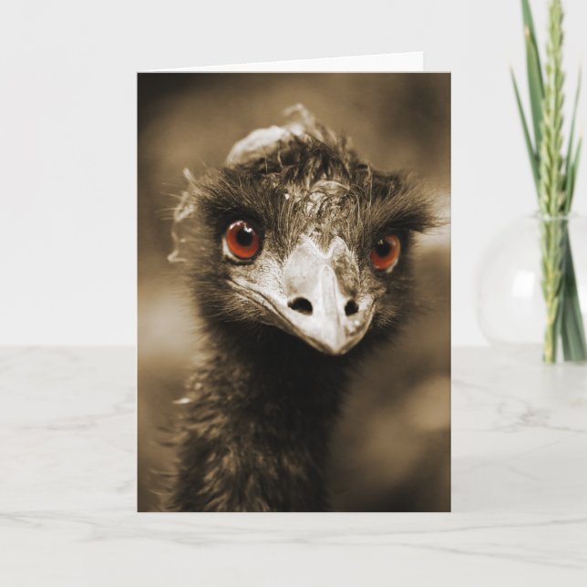 Ostriches Look greeting card (Front)