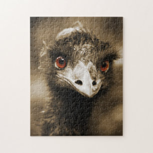 Ostriches Look photo puzzle
