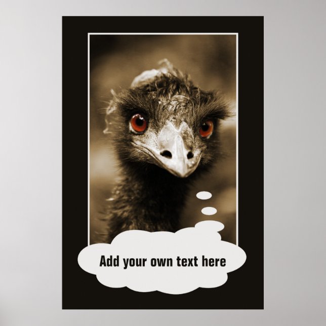 Ostriches Look poster personnalisé (Devant)