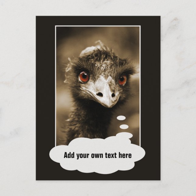 Ostriches Look texte personnalisé carte postale (Devant)