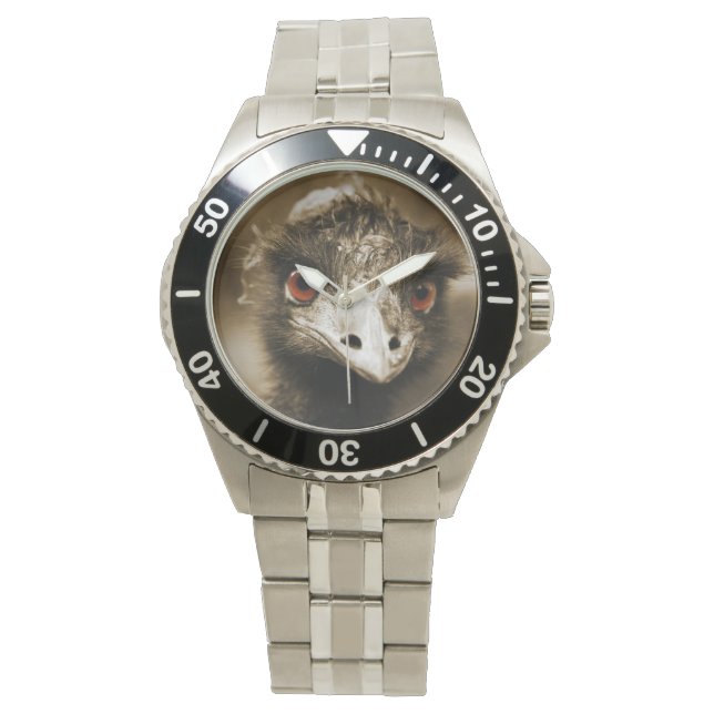 Ostriches Look watches (Front)