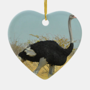 Ostrige out for a run ceramic ornament
