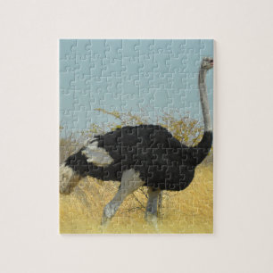 Ostrige out for a run jigsaw puzzle