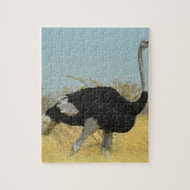 Ostrige out for a run jigsaw puzzle (Vertical)