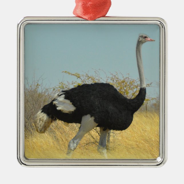 Ostrige out for a run metal ornament (Front)