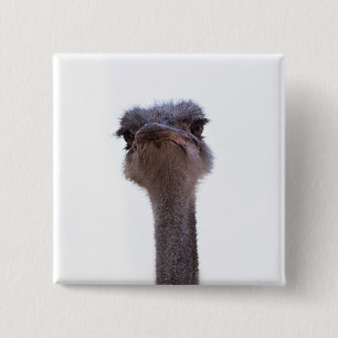 Ostrish Coffee Mug Invitation Keychain 2 Inch Square Button