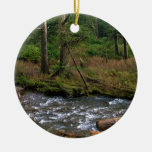 Oswald West State Park, Oregon Coast Ceramic Ornament