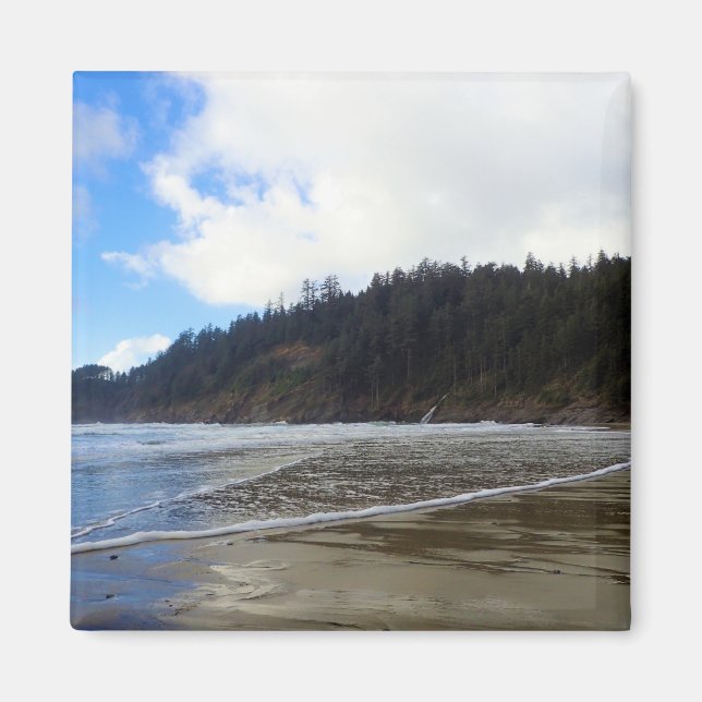 Oswald West State Park, Oregon Coast Magnet (Front)