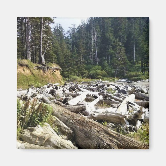 Oswald West State Park, Oregon Coast Magnet (Front)