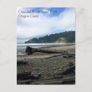 Oswald West State Park, Oregon Coast Postcard