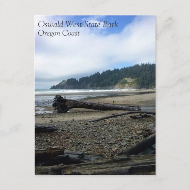 Oswald West State Park, Oregon Coast Postcard (Front)