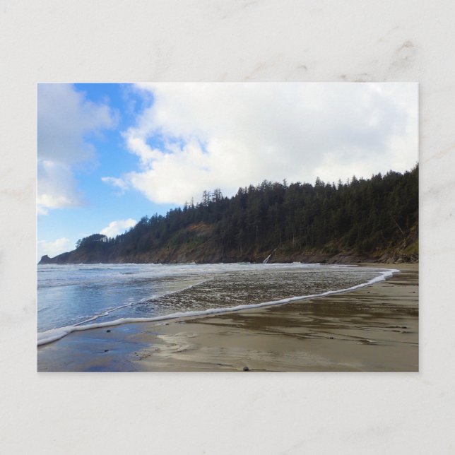 Oswald West State Park, Oregon Coast Postcard (Front)