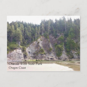 Oswald West State Park, Oregon Coast Postcard