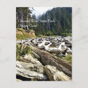 Oswald West State Park, Oregon Coast Postcard