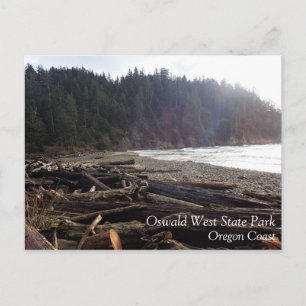 Oswald West State Park, Oregon Coast Postcard