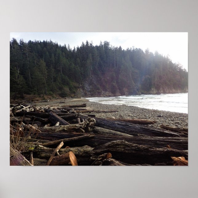 Oswald West State Park, Oregon Coast Poster (Front)