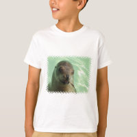 Otarie avec le T-shirt d'enfant de poissons