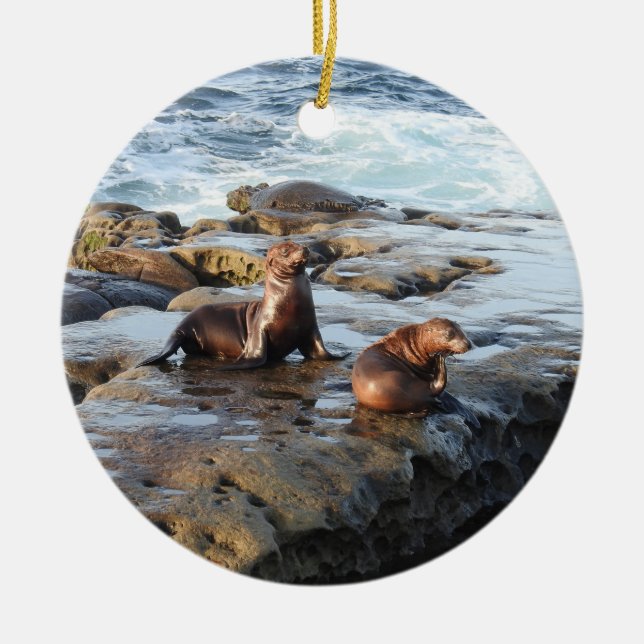 Otaries de Californie, faune, ornement céramique (Devant)