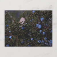 "Other Blue Worlds"