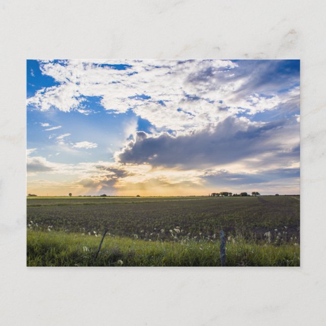 Other Sunset Postcard (Front)