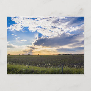 Other Sunset Postcard