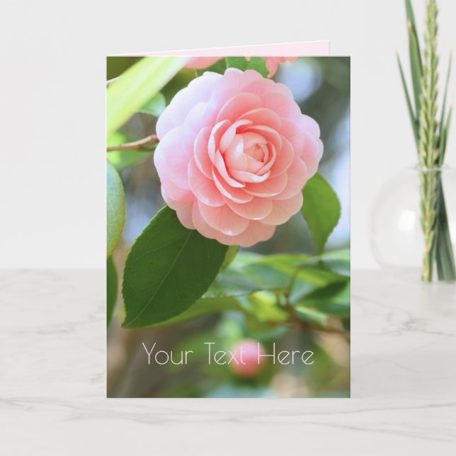 Otome-tsubaki: Camellia [Greeting Card] Card (Front)