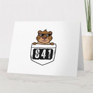 Otter 841 card