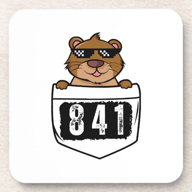 Otter 841  coaster (Front)