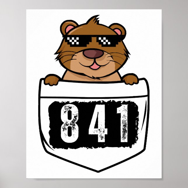 Otter 841  poster (Front)