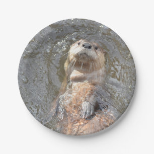 Otter Back Float Paper Plate