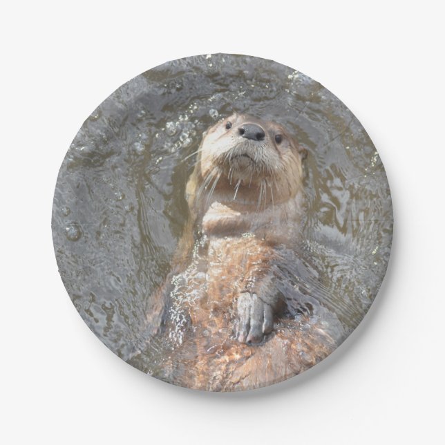 Otter Back Float Paper Plate (Front)