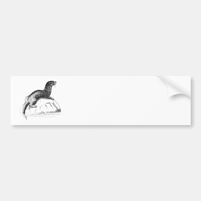 Otter Bumper Sticker (Front)