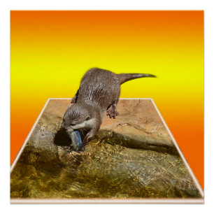 Otter Eating Fish Popout Art, Glossy Poster