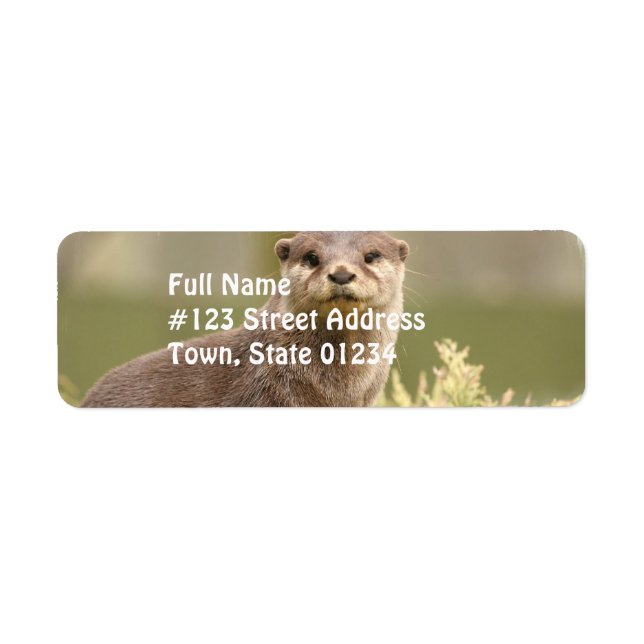 Otter Étiquette de adresse (Devant)