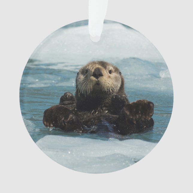 Otter flottante (devant)